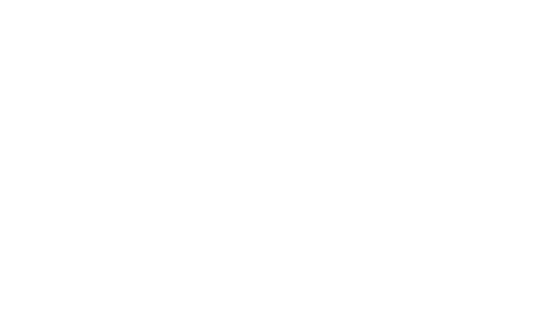 Lars Larsen Group